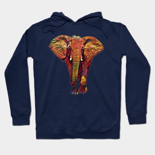 Cute Colorful Elephant Design Hoodie